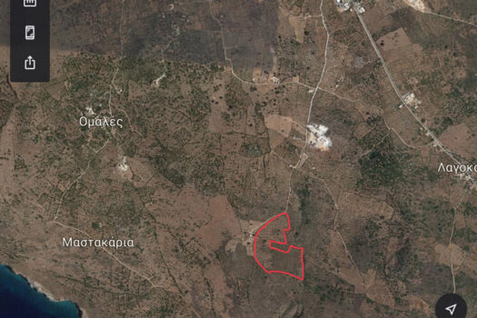 Terrain de 55000 m² dans la zone d’Areopolis