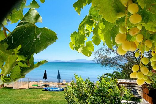 Villa unique et authentique avec sa plage totalement privée en Grèce