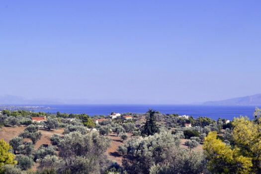 A vendre à Eretrie (Eretria) sur l’île de d’Eubée (Evia)