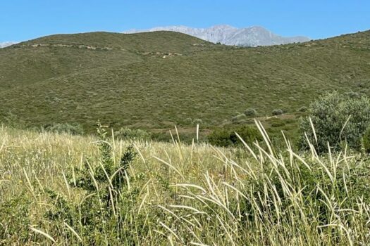 Terrains Mont Parnasse
