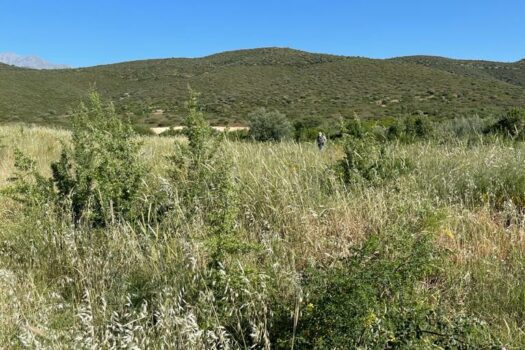 Terrains Mont Parnasse