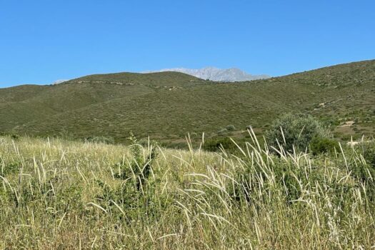 Terrains Mont Parnasse