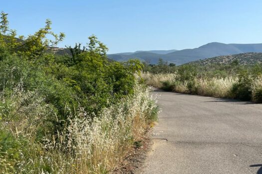 Terrains Mont Parnasse