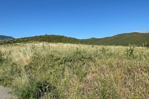 Terrains Mont Parnasse