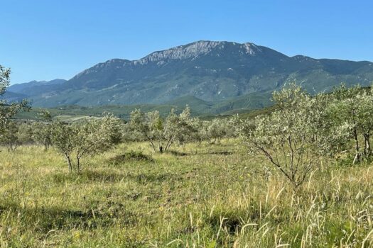 Terrains Mont Parnasse