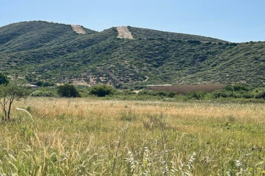 Terrains Mont Parnasse