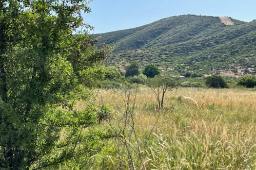 Terrains Mont Parnasse
