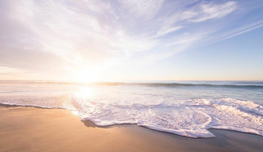 Ce qu’il faut savoir sur le mouvement des « plages libres »